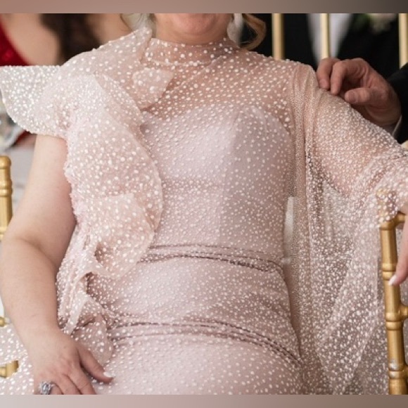 Light Pink Gown - Picture 8 of 10